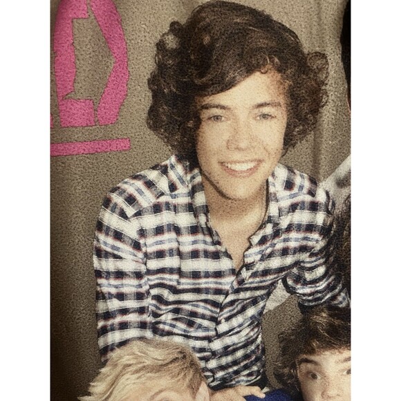 One Direction 1D Rare Soft Throw & Retired Build A Bear 1D Bear Harry Styles - Picture 2 of 15